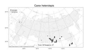 Carex heterolepis Bunge, Atlas of the Russian Flora (FLORUS) (Russia)