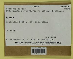 Dolichomitra cymbifolia (Lindb.) Broth., Bryophytes, Bryophytes - Asia (outside ex-Soviet states) (BAs) (Japan)