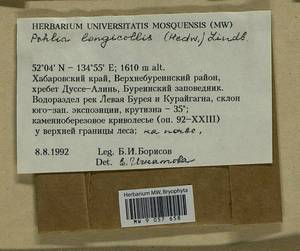 Pohlia longicolla (Hedw.) Lindb., Bryophytes, Bryophytes - Russian Far East (excl. Chukotka & Kamchatka) (B20) (Russia)