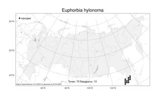 Euphorbia hylonoma Hand.-Mazz., Atlas of the Russian Flora (FLORUS) (Russia)