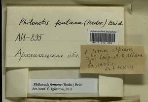 Philonotis fontana (Hedw.) Brid., Bryophytes, Bryophytes - European North East (B7) (Russia)