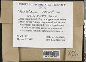 Ditrichum zonatum (Brid.) Braithw., Bryophytes, Bryophytes - Russian Far East (excl. Chukotka & Kamchatka) (B20) (Russia)