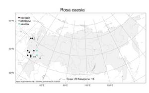 Rosa caesia Sm., Atlas of the Russian Flora (FLORUS) (Russia)