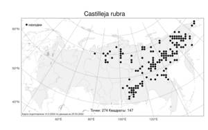 Castilleja rubra (Drobow) Rebrist., Atlas of the Russian Flora (FLORUS) (Russia)