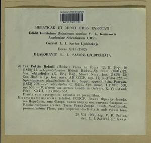 Hennediella heimii (Hedw.) R.H. Zander, Bryophytes, Bryophytes - European North East (B7) (Russia)