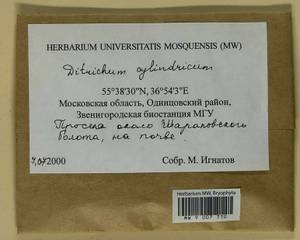 Trichodon cylindricus (Hedw.) Schimp., Bryophytes, Bryophytes - Moscow City & Moscow Oblast (B6a) (Russia)