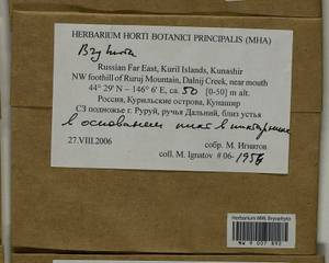 Bryhnia, Bryophytes, Bryophytes - Russian Far East (excl. Chukotka & Kamchatka) (B20) (Russia)