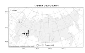 Thymus bashkiriensis Klokov & Des.-Shost., Atlas of the Russian Flora (FLORUS) (Russia)