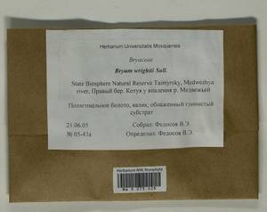 Ptychostomum wrightii (Sull. & Lesq.) J.R. Spence, Bryophytes, Bryophytes - Krasnoyarsk Krai, Tyva & Khakassia (B17) (Russia)