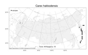 Carex hakkodensis Franch., Atlas of the Russian Flora (FLORUS) (Russia)
