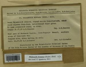 Philonotis fontana (Hedw.) Brid., Bryophytes, Bryophytes - Karelia, Leningrad & Murmansk Oblasts (B4) (Russia)