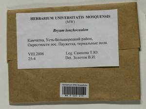 Ptychostomum lonchocaulon (Müll. Hal.) J.R. Spence, Bryophytes, Bryophytes - Chukotka & Kamchatka (B21) (Russia)