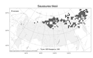 Saussurea tilesii (Ledeb.) Ledeb., Atlas of the Russian Flora (FLORUS) (Russia)