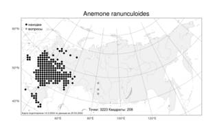 Anemone ranunculoides L., Atlas of the Russian Flora (FLORUS) (Russia)