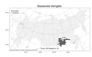 Saussurea elongata DC., Atlas of the Russian Flora (FLORUS) (Russia)