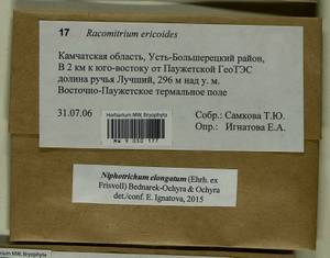 Niphotrichum elongatum (Ehrh. ex Frisvoll) Bedn.-Ochyra & Ochyra, Bryophytes, Bryophytes - Chukotka & Kamchatka (B21) (Russia)