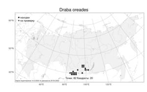 Draba oreades Schrenk, Atlas of the Russian Flora (FLORUS) (Russia)