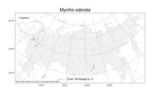 Myrrhis odorata (L.) Scop., Atlas of the Russian Flora (FLORUS) (Russia)