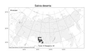 Salvia deserta Schangin, Atlas of the Russian Flora (FLORUS) (Russia)