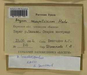 Ptychostomum lonchocaulon (Müll. Hal.) J.R. Spence, Bryophytes, Bryophytes - Permsky Krai, Udmurt Republic, Sverdlovsk & Kirov Oblasts (B8) (Russia)