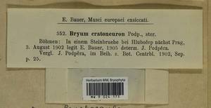 Ptychostomum lonchocaulon (Müll. Hal.) J.R. Spence, Bryophytes, Bryophytes - Western Europe (BEu) (Czech Republic)