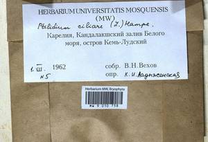 Ptilidium ciliare (L.) Hampe, Bryophytes, Bryophytes - Karelia, Leningrad & Murmansk Oblasts (B4) (Russia)