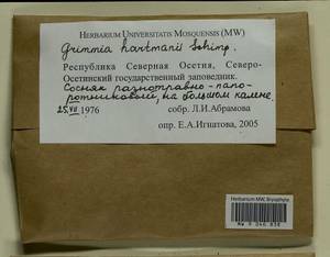Grimmia hartmanii Schimp., Bryophytes, Bryophytes - North Caucasus & Ciscaucasia (B12) (Russia)