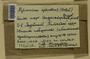 Hylocomium splendens (Hedw.) Schimp., Bryophytes, Bryophytes - Karelia, Leningrad & Murmansk Oblasts (B4) (Russia)