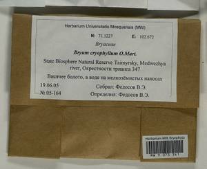 Ptychostomum cryophilum (Mårtensson) J.R. Spence, Bryophytes, Bryophytes - Krasnoyarsk Krai, Tyva & Khakassia (B17) (Russia)
