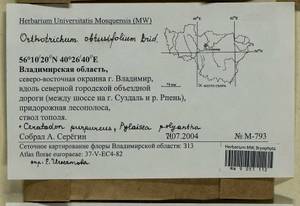 Ceratodon purpureus (Hedw.) Brid., Bryophytes, Bryophytes - Middle Russia (B6) (Russia)