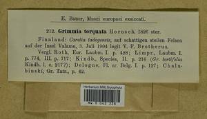 Grimmia torquata Drumm., Bryophytes, Bryophytes - Karelia, Leningrad & Murmansk Oblasts (B4) (Russia)