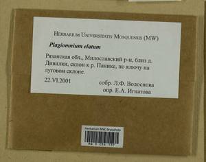 Plagiomnium elatum (Bruch & Schimp.) T.J. Kop., Bryophytes, Bryophytes - Middle Russia (B6) (Russia)