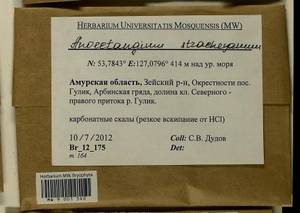 Anoectangium stracheyanum Mitt., Bryophytes, Bryophytes - Russian Far East (excl. Chukotka & Kamchatka) (B20) (Russia)