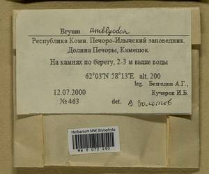 Ptychostomum inclinatum (Sw. ex Brid.) J.R. Spence, Bryophytes, Bryophytes - European North East (B7) (Russia)