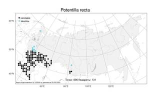 Potentilla recta L., Atlas of the Russian Flora (FLORUS) (Russia)
