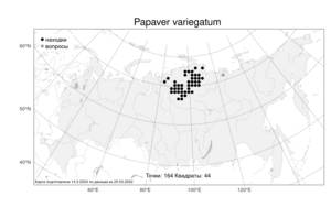 Papaver variegatum Tolm., Atlas of the Russian Flora (FLORUS) (Russia)