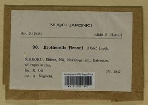 Brotherella henonii (Duby) M. Fleisch., Bryophytes, Bryophytes - Asia (outside ex-Soviet states) (BAs) (Japan)