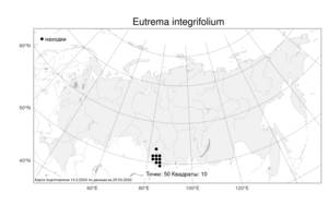 Eutrema integrifolium (DC.) Bunge, Atlas of the Russian Flora (FLORUS) (Russia)