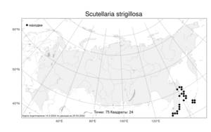 Scutellaria strigillosa Hemsl., Atlas of the Russian Flora (FLORUS) (Russia)