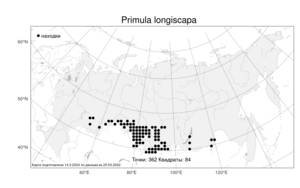 Primula longiscapa Ledeb., Atlas of the Russian Flora (FLORUS) (Russia)
