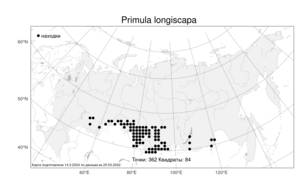 Primula longiscapa Ledeb., Atlas of the Russian Flora (FLORUS) (Russia)