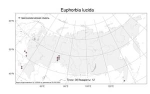 Euphorbia lucida Waldst. & Kit., Atlas of the Russian Flora (FLORUS) (Russia)