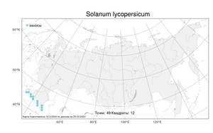 Solanum lycopersicum L., Atlas of the Russian Flora (FLORUS) (Russia)