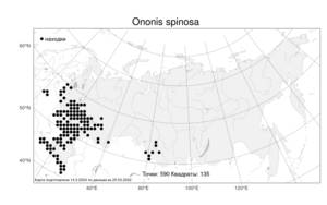 Ononis spinosa L., Atlas of the Russian Flora (FLORUS) (Russia)