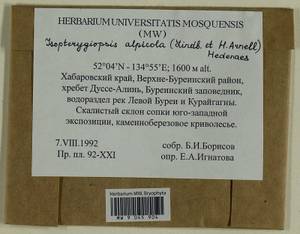 Isopterygiella alpicola (Lindb.) Ignatov & Ignatova, Bryophytes, Bryophytes - Russian Far East (excl. Chukotka & Kamchatka) (B20) (Russia)