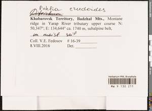 Pohlia crudoides (Sull. & Lesq.) Broth., Bryophytes, Bryophytes - Russian Far East (excl. Chukotka & Kamchatka) (B20) (Russia)