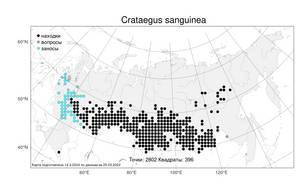 Crataegus sanguinea Pall., Atlas of the Russian Flora (FLORUS) (Russia)