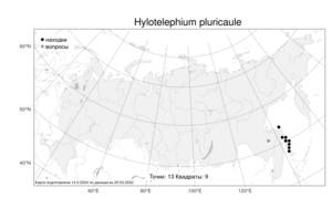 Hylotelephium pluricaule (Maxim.) H. Ohba, Atlas of the Russian Flora (FLORUS) (Russia)