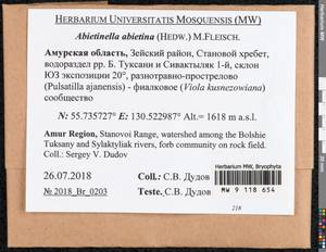 Abietinella abietina (Hedw.) M. Fleisch., Bryophytes, Bryophytes - Russian Far East (excl. Chukotka & Kamchatka) (B20) (Russia)