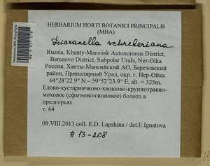 Aongstroemia schreberiana (Hedw.) Bonfim Santos & Fedosov, Bryophytes, Bryophytes - Western Siberia (including Altai) (B15) (Russia)